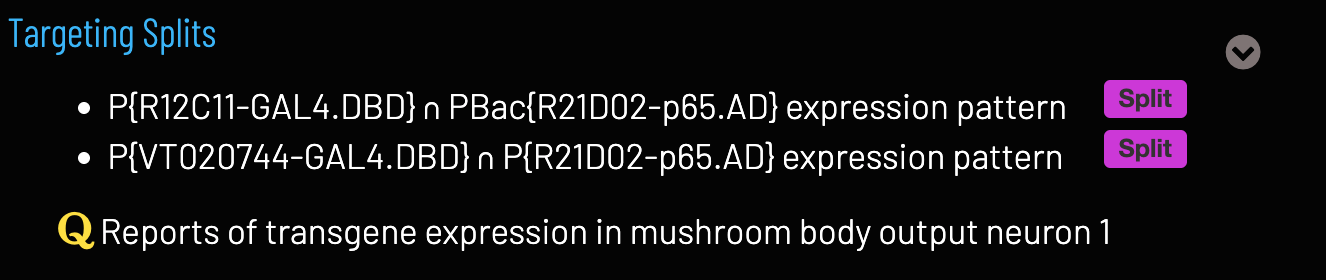 Targeting Splits section of cell type Term Info page.