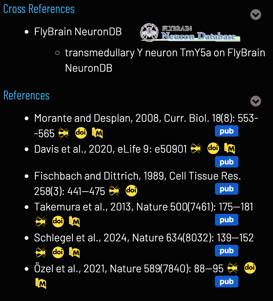 Cross References and Linkouts in Term Info.